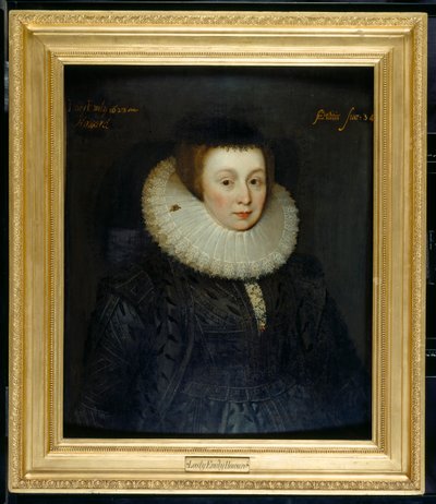 Lady Emily Howard by Marcus Gheeraerts