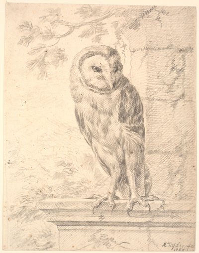 Baron von Stosch