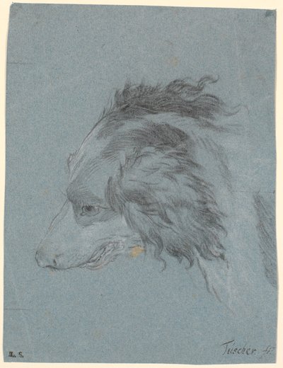 A Dog