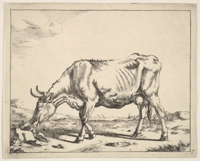 Cow, after Paulus Potter by Marcus de Bye