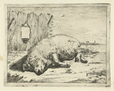 Lying Pig by Marcus de Bye