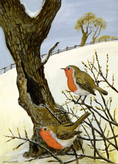 A Pair of Robins by Margaret Loxton