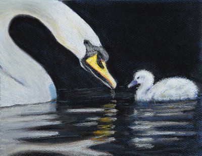Follow Mummy. by Margo Starkey