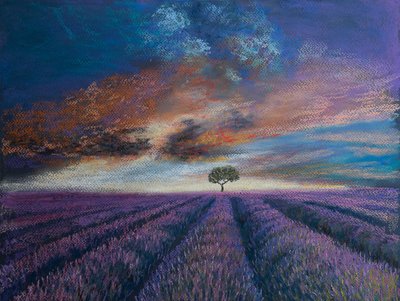 Lavender Fields of Normandy by Margo Starkey