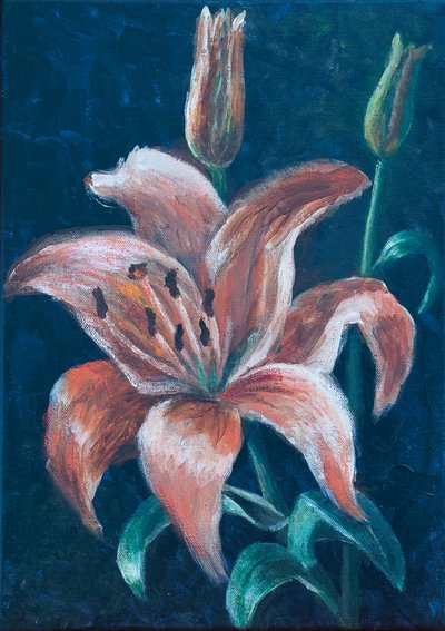 Orange Lily by Margo Starkey