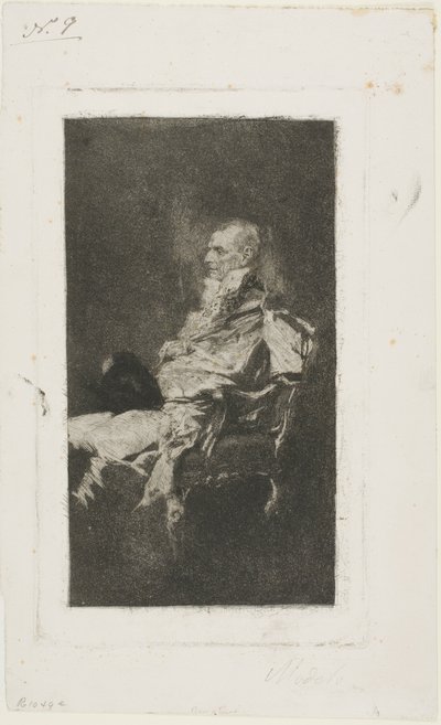 Diplomat by Mariano Fortuny y Marsal