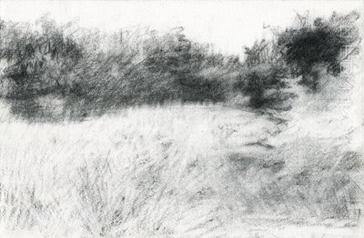 Landscape by Marina Falco