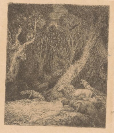 Wild Animals in the Forest by Marius Bauer