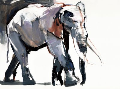 African Elephant by Mark Adlington