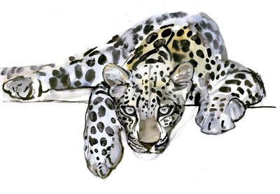 Arabian Leopard by Mark Adlington