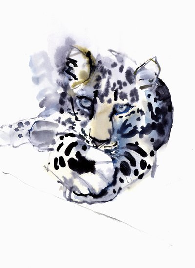 Arabian Leopard, 2008 by Mark Adlington