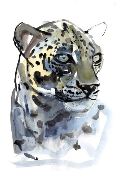 Arabian Leopard, 2008 by Mark Adlington