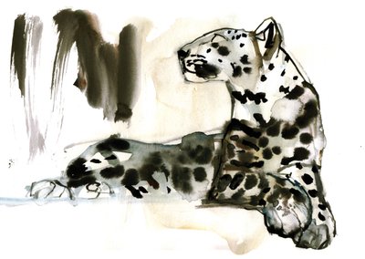 Arabian Leopard, 2008 by Mark Adlington