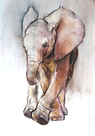 Baby Elephant 2, Loisaba by Mark Adlington