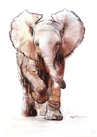 Baby Elephant, Loisaba by Mark Adlington