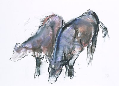 Calves by Mark Adlington