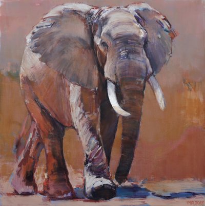 Dry Season, Loisaba by Mark Adlington