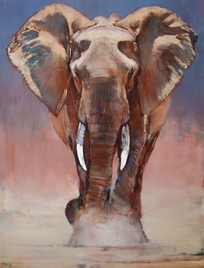 Dust Bath, Loisaba by Mark Adlington