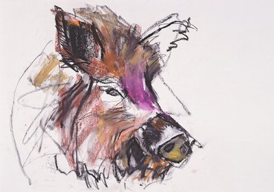 Dzik by Mark Adlington