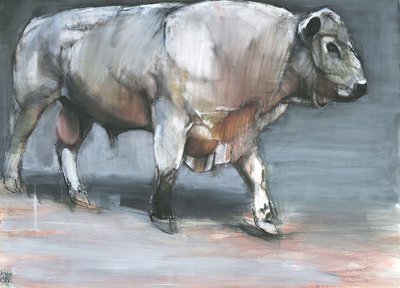 Fresno, Galloway Bull by Mark Adlington