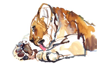 Grooming Cub by Mark Adlington