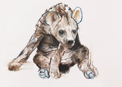 Hyaena Pup (head down) by Mark Adlington