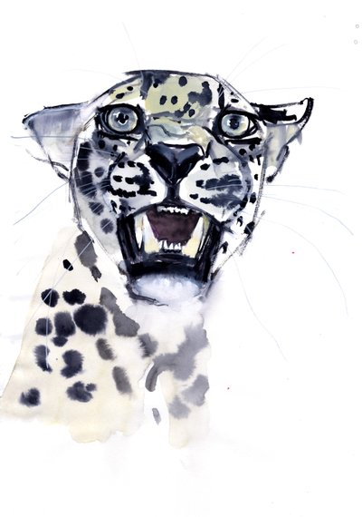 Incisor Snarl (Arabian Leopard), 2008 by Mark Adlington