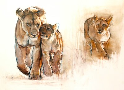 Jealous Cub by Mark Adlington