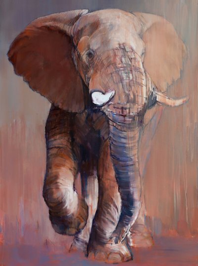 Loisaba Bull, 2018 by Mark Adlington