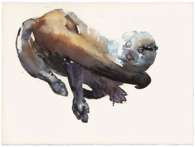 Otter Study I - 