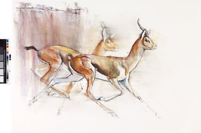 Running Arabian Gazelles, 2010 by Mark Adlington