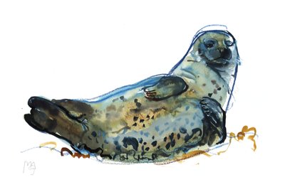 Westcove Seal by Mark Adlington