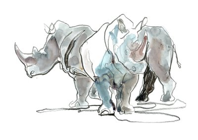 White Rhinos, Mount Etjo, 2020 by Mark Adlington