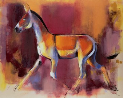 Wild Ass, Rann of Kutch, 1996 by Mark Adlington