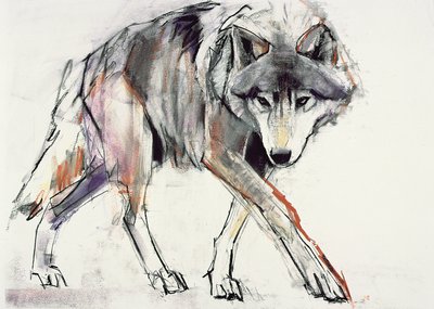 Wolf by Mark Adlington