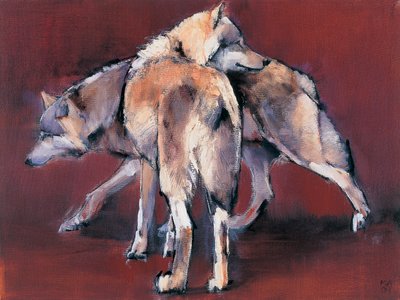 Wolf Composition by Mark Adlington