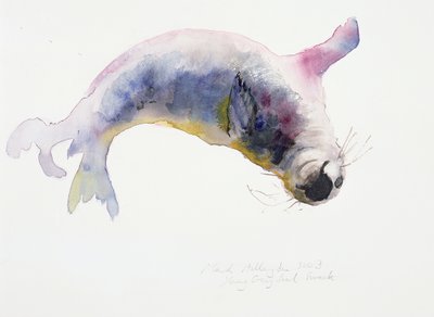 Young Grey Seal, Gweek by Mark Adlington