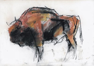 Zubre, Bialowieza by Mark Adlington