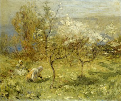 Apple Blossoms by Mark Senior