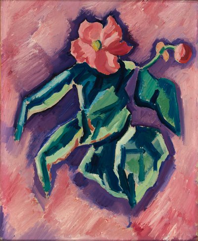 Pink Begonias by Marsden Hartley