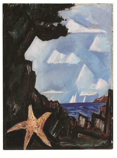 Sea View--Starfish, New England by Marsden Hartley