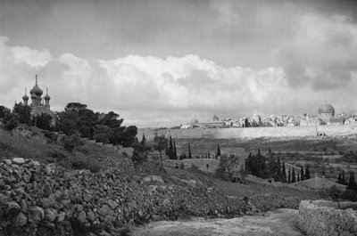 Jerusalem and the Garden of Gethsemane by Martin Hurlimann