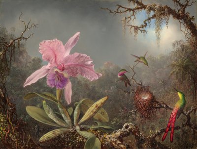 Cattleya Orchid and Three Hummingbirds by Martin Johnson Heade