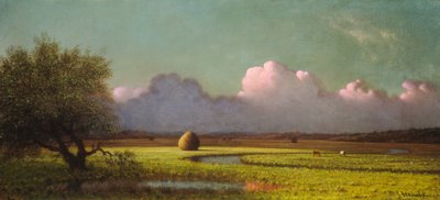 Sunlight and Shadow: The Newbury Marshes by Martin Johnson Heade