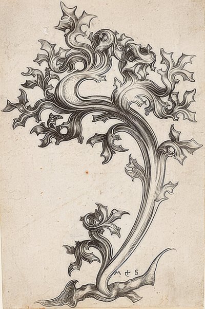 Leaf Ornament from a Thistle by Martin Schongauer