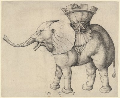 Elephant by Martin Schongauer