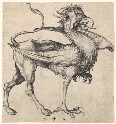 Griffin by Martin Schongauer
