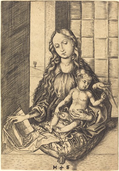 Madonna with a Parrot by Martin Schongauer