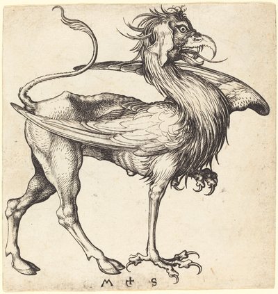 The Griffin by Martin Schongauer