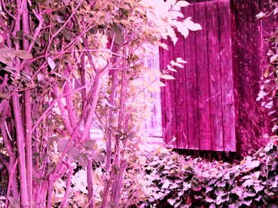 At the Garden House by Martina Konitzky